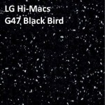 LG Hi-Macs G47 Black Bird